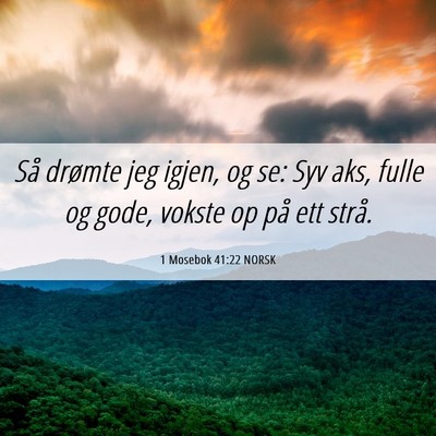 Picture 06 - 1 Mosebok 41:22 NORSK - Så drømte jeg igjen, og se: Syv aks, fulle og - Bible Verse Picture