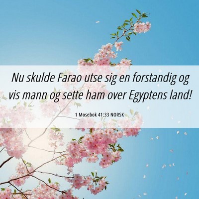 Picture 06 - 1 Mosebok 41:33 NORSK - Nu skulde Farao utse sig en forstandig og vis - Bible Verse Picture