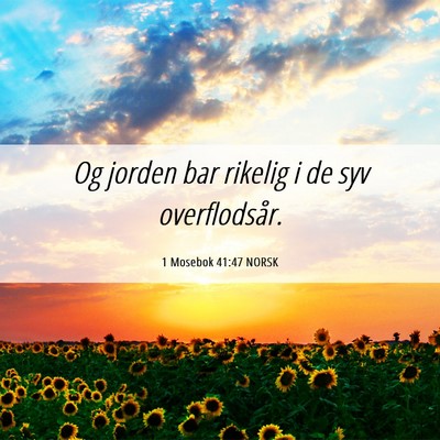 Picture 06 - 1 Mosebok 41:47 NORSK - Og jorden bar rikelig i de syv - Bible Verse Picture