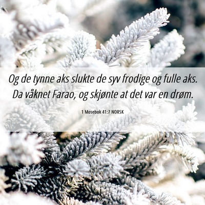 Picture 06 - 1 Mosebok 41:7 NORSK - Og de tynne aks slukte de syv frodige og fulle - Bible Verse Picture