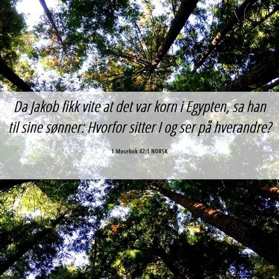Picture 06 - 1 Mosebok 42:1 NORSK - Da Jakob fikk vite at det var korn i Egypten, sa - Bible Verse Picture