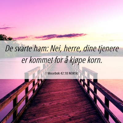 Picture 06 - 1 Mosebok 42:10 NORSK - De svarte ham: Nei, herre, dine tjenere er kommet - Bible Verse Picture