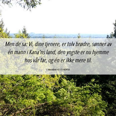 Picture 06 - 1 Mosebok 42:13 NORSK - Men de sa: Vi, dine tjenere, er tolv brødre, - Bible Verse Picture