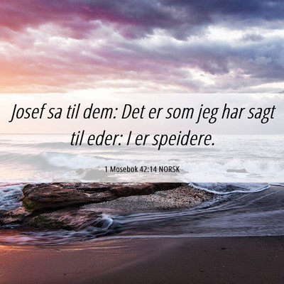 Picture 06 - 1 Mosebok 42:14 NORSK - Josef sa til dem: Det er som jeg har sagt til - Bible Verse Picture