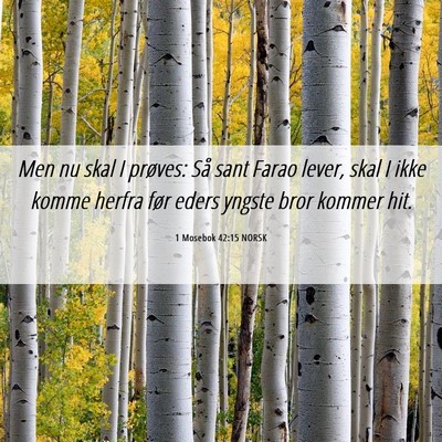Picture 06 - 1 Mosebok 42:15 NORSK - Men nu skal I prøves: Så sant Farao lever, skal - Bible Verse Picture