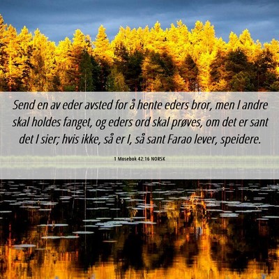 Picture 06 - 1 Mosebok 42:16 NORSK - Send en av eder avsted for å hente eders bror, - Bible Verse Picture