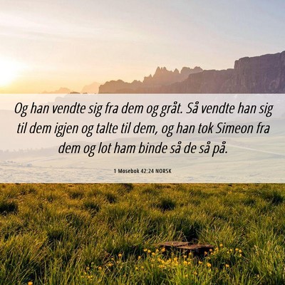 Picture 06 - 1 Mosebok 42:24 NORSK - Og han vendte sig fra dem og gråt. Så vendte - Bible Verse Picture