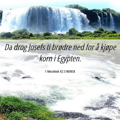 Picture 06 - 1 Mosebok 42:3 NORSK - Da drog Josefs ti brødre ned for å kjøpe korn - Bible Verse Picture