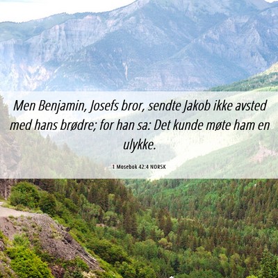 Picture 06 - 1 Mosebok 42:4 NORSK - Men Benjamin, Josefs bror, sendte Jakob ikke - Bible Verse Picture