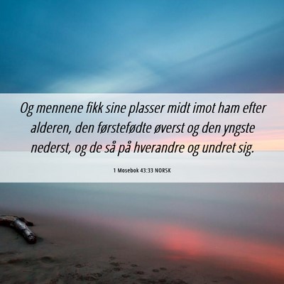 Picture 06 - 1 Mosebok 43:33 NORSK - Og mennene fikk sine plasser midt imot ham efter - Bible Verse Picture