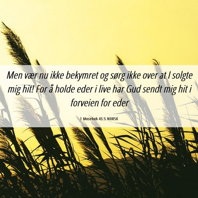 Picture 06 - 1 Mosebok 45:5 NORSK - Men vær nu ikke bekymret og sørg ikke over at I - Bible Verse Picture