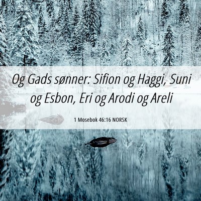 Picture 06 - 1 Mosebok 46:16 NORSK - Og Gads sønner: Sifion og Haggi, Suni og Esbon, - Bible Verse Picture