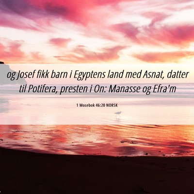Picture 06 - 1 Mosebok 46:20 NORSK - og Josef fikk barn i Egyptens land med Asnat, - Bible Verse Picture
