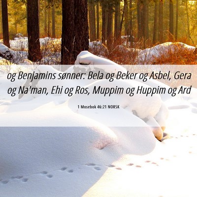 Picture 06 - 1 Mosebok 46:21 NORSK - og Benjamins sønner: Bela og Beker og Asbel, - Bible Verse Picture