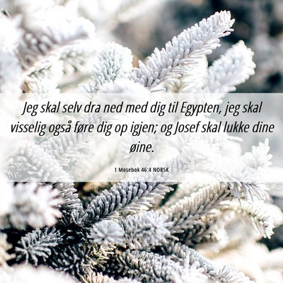 Picture 06 - 1 Mosebok 46:4 NORSK - Jeg skal selv dra ned med dig til Egypten, jeg - Bible Verse Picture