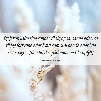 Picture 06 - 1 Mosebok 49:1 NORSK - Og Jakob kalte sine sønner til sig og sa: samle - Bible Verse Picture