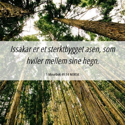 Picture 06 - 1 Mosebok 49:14 NORSK - Issakar er et sterktbygget asen, som hviler - Bible Verse Picture