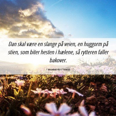 Picture 06 - 1 Mosebok 49:17 NORSK - Dan skal være en slange på veien, en huggorm - Bible Verse Picture