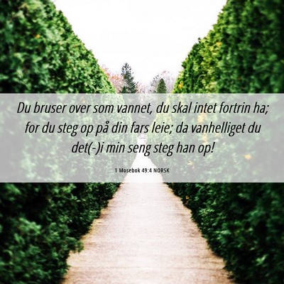 Picture 06 - 1 Mosebok 49:4 NORSK - Du bruser over som vannet, du skal intet fortrin - Bible Verse Picture