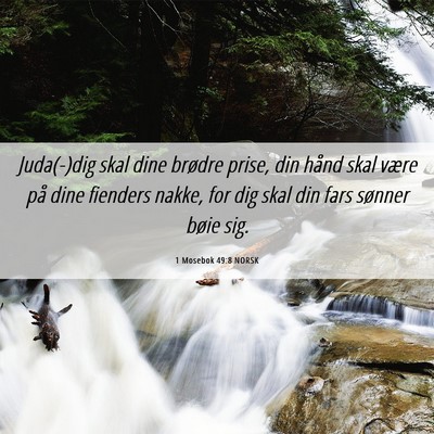 Picture 06 - 1 Mosebok 49:8 NORSK - Juda(-)dig skal dine brødre prise, din hånd - Bible Verse Picture