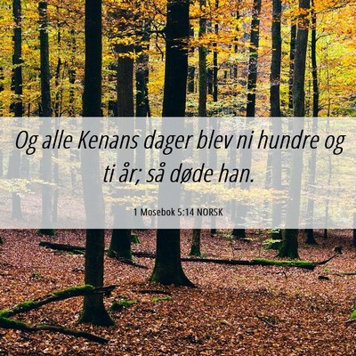 Picture 06 - 1 Mosebok 5:14 NORSK - Og alle Kenans dager blev ni hundre og ti år; - Bible Verse Picture
