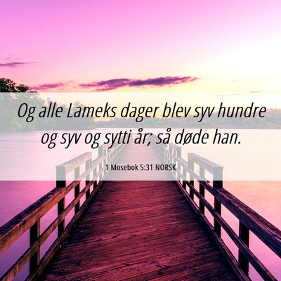 Picture 06 - 1 Mosebok 5:31 NORSK - Og alle Lameks dager blev syv hundre og syv og - Bible Verse Picture