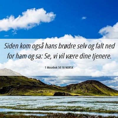 Picture 06 - 1 Mosebok 50:18 NORSK - Siden kom også hans brødre selv og falt ned for - Bible Verse Picture