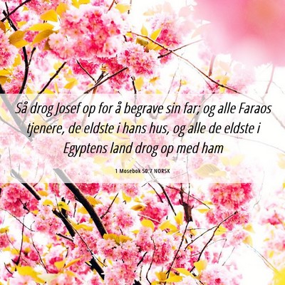 Picture 06 - 1 Mosebok 50:7 NORSK - Så drog Josef op for å begrave sin far; og alle - Bible Verse Picture