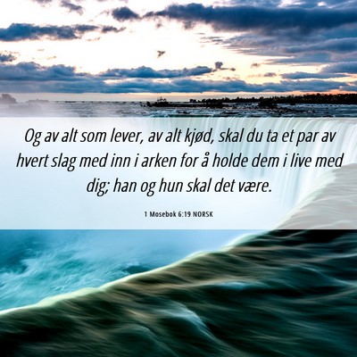 Picture 06 - 1 Mosebok 6:19 NORSK - Og av alt som lever, av alt kjød, skal du ta et - Bible Verse Picture