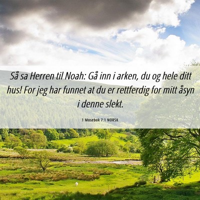 Picture 06 - 1 Mosebok 7:1 NORSK - Så sa Herren til Noah: Gå inn i arken, du og - Bible Verse Picture
