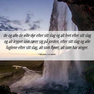 Picture 06 - 1 Mosebok 7:14 NORSK - de og alle de ville dyr efter sitt slag og alt - Bible Verse Picture