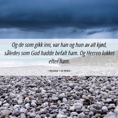 Picture 06 - 1 Mosebok 7:16 NORSK - Og de som gikk inn, var han og hun av alt kjød, - Bible Verse Picture