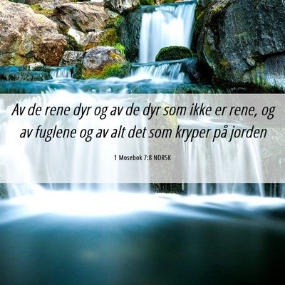 Picture 06 - 1 Mosebok 7:8 NORSK - Av de rene dyr og av de dyr som ikke er rene, og - Bible Verse Picture