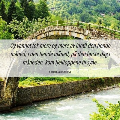 Picture 06 - 1 Mosebok 8:5 NORSK - Og vannet tok mere og mere av inntil den tiende - Bible Verse Picture