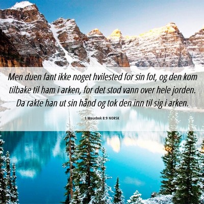 Picture 06 - 1 Mosebok 8:9 NORSK - Men duen fant ikke noget hvilested for sin fot, - Bible Verse Picture