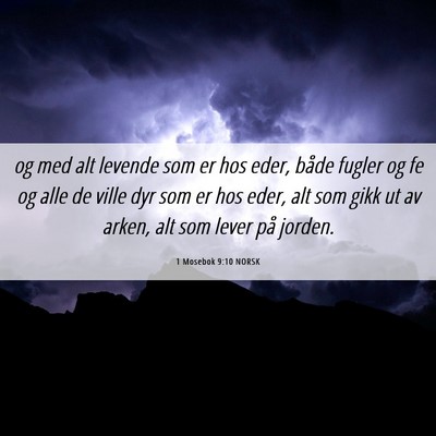 Picture 06 - 1 Mosebok 9:10 NORSK - og med alt levende som er hos eder, både fugler - Bible Verse Picture