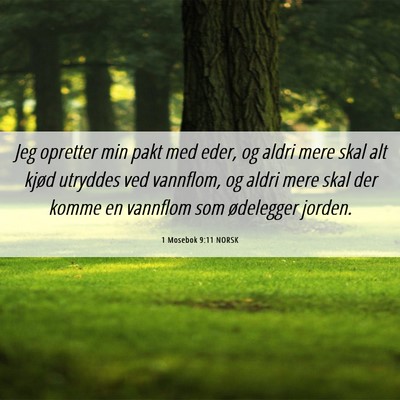 Picture 06 - 1 Mosebok 9:11 NORSK - Jeg opretter min pakt med eder, og aldri mere - Bible Verse Picture