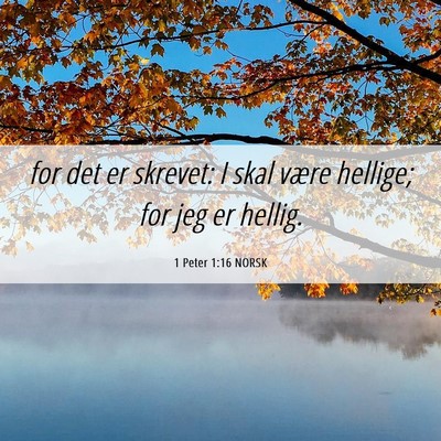 Picture 06 - 1 Peter 1:16 NORSK - for det er skrevet: I skal være hellige; for jeg - Bible Verse Picture