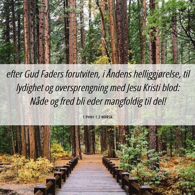 Picture 06 - 1 Peter 1:2 NORSK - efter Gud Faders forutviten, i Åndens - Bible Verse Picture