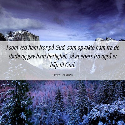 Picture 06 - 1 Peter 1:21 NORSK - I som ved ham tror på Gud, som opvakte ham fra - Bible Verse Picture