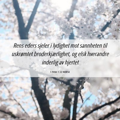 Picture 06 - 1 Peter 1:22 NORSK - Rens eders sjeler i lydighet mot sannheten til - Bible Verse Picture