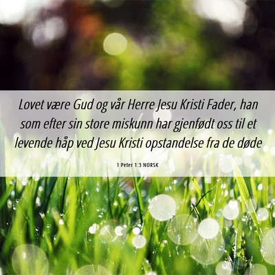 Picture 06 - 1 Peter 1:3 NORSK - Lovet være Gud og vår Herre Jesu Kristi Fader, - Bible Verse Picture