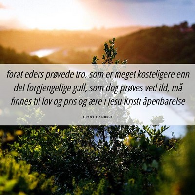 Picture 06 - 1 Peter 1:7 NORSK - forat eders prøvede tro, som er meget - Bible Verse Picture