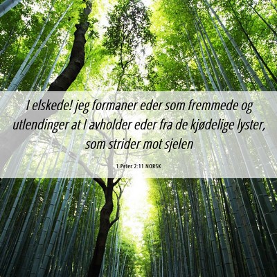 Picture 06 - 1 Peter 2:11 NORSK - I elskede! jeg formaner eder som fremmede og - Bible Verse Picture