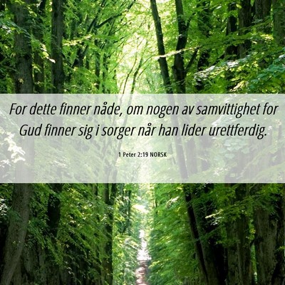 Picture 06 - 1 Peter 2:19 NORSK - For dette finner nåde, om nogen av samvittighet - Bible Verse Picture