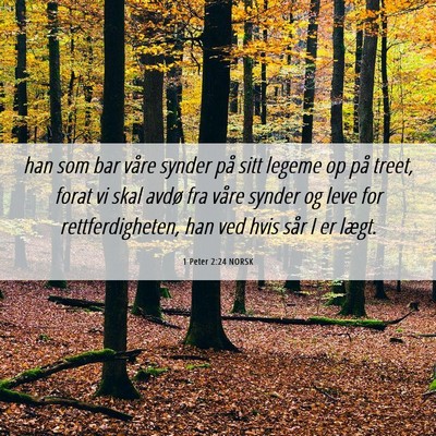 Picture 06 - 1 Peter 2:24 NORSK - han som bar våre synder på sitt legeme op på - Bible Verse Picture
