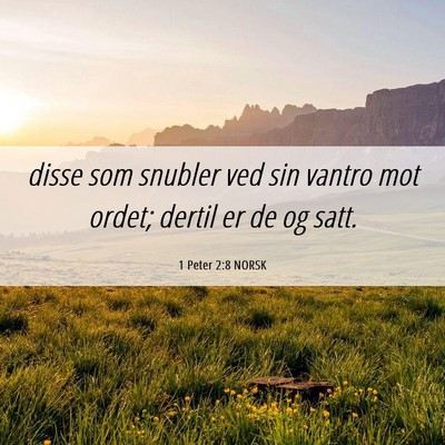 Picture 06 - 1 Peter 2:8 NORSK - disse som snubler ved sin vantro mot ordet; - Bible Verse Picture