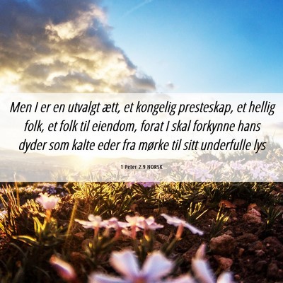Picture 06 - 1 Peter 2:9 NORSK - Men I er en utvalgt ætt, et kongelig presteskap, - Bible Verse Picture