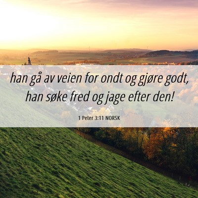 Picture 06 - 1 Peter 3:11 NORSK - han gå av veien for ondt og gjøre godt, han - Bible Verse Picture