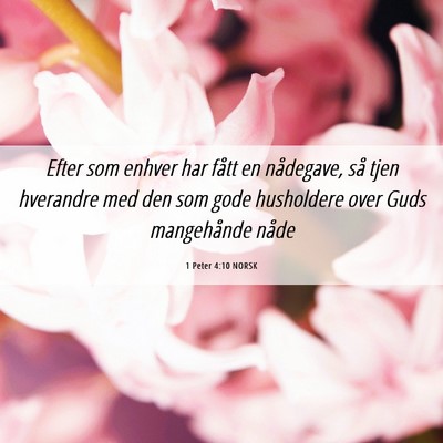 Picture 06 - 1 Peter 4:10 NORSK - Efter som enhver har fått en nådegave, så tjen - Bible Verse Picture